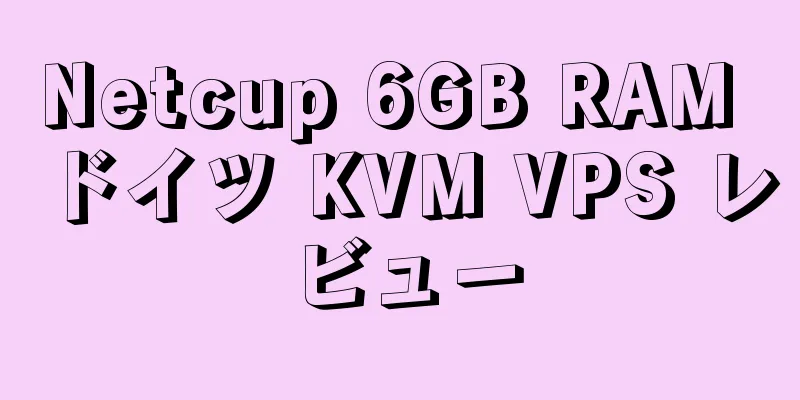 Netcup 6GB RAM ドイツ KVM VPS レビュー