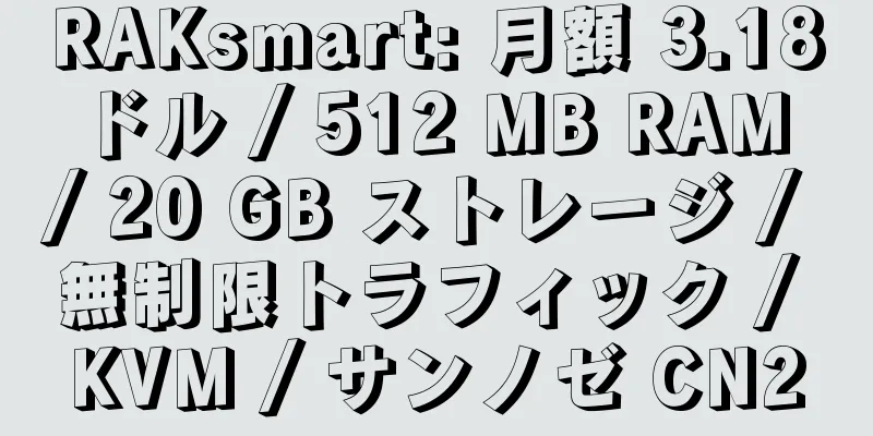 RAKsmart: 月額 3.18 ドル / 512 MB RAM / 20 GB ストレージ / 無制限トラフィック / KVM / サンノゼ CN2