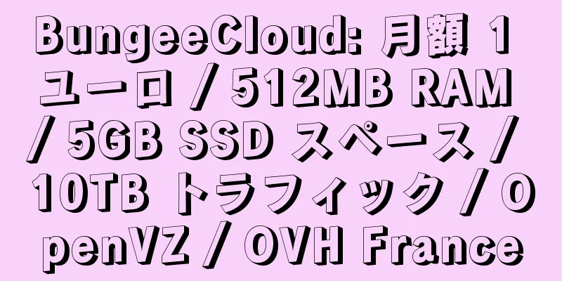 BungeeCloud: 月額 1 ユーロ / 512MB RAM / 5GB SSD スペース / 10TB トラフィック / OpenVZ / OVH France