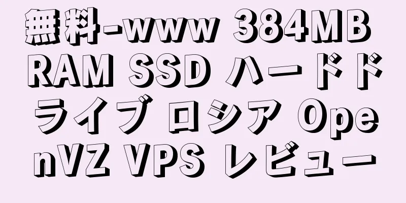 無料-www 384MB RAM SSD ハードドライブ ロシア OpenVZ VPS レビュー