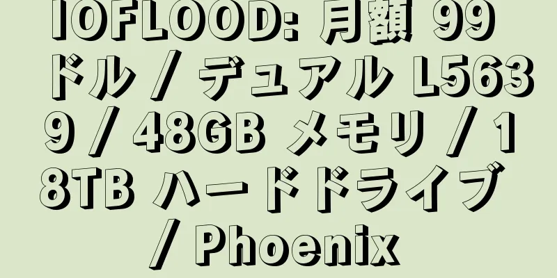 IOFLOOD: 月額 99 ドル / デュアル L5639 / 48GB メモリ / 18TB ハードドライブ / Phoenix