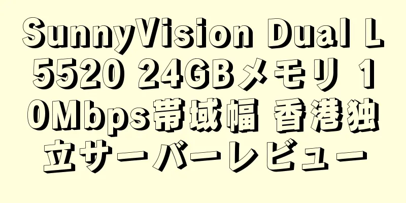 SunnyVision Dual L5520 24GBメモリ 10Mbps帯域幅 香港独立サーバーレビュー