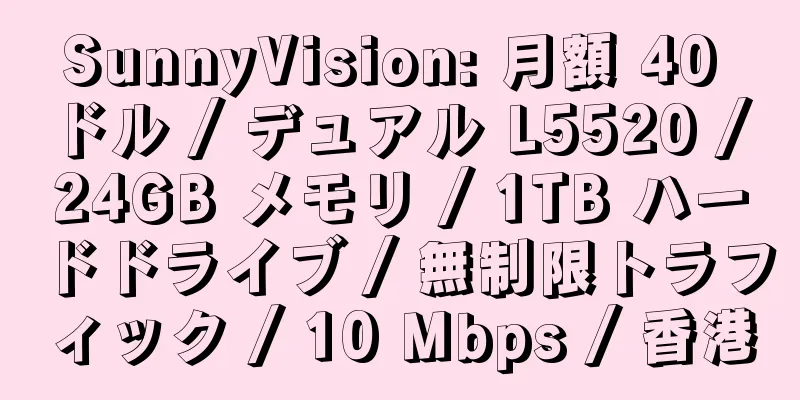 SunnyVision: 月額 40 ドル / デュアル L5520 / 24GB メモリ / 1TB ハードドライブ / 無制限トラフィック / 10 Mbps / 香港