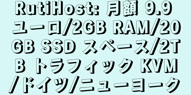 RutiHost: 月額 9.9 ユーロ/2GB RAM/20GB SSD スペース/2TB トラフィック KVM/ドイツ/ニューヨーク