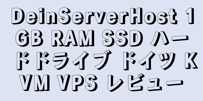 DeinServerHost 1GB RAM SSD ハードドライブ ドイツ KVM VPS レビュー