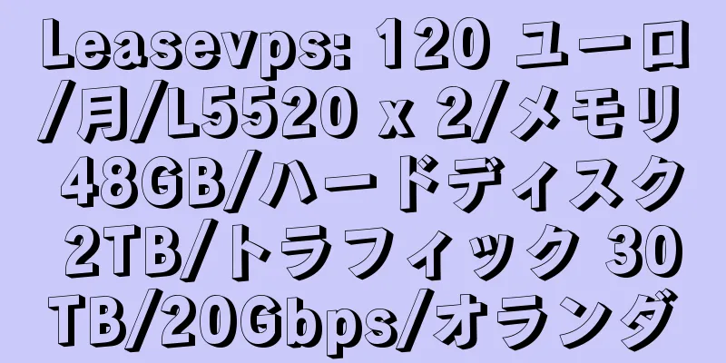 Leasevps: 120 ユーロ/月/L5520 x 2/メモリ 48GB/ハードディスク 2TB/トラフィック 30TB/20Gbps/オランダ