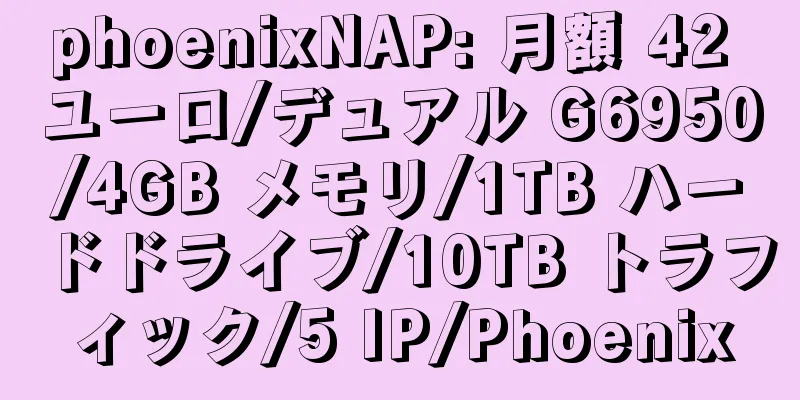 phoenixNAP: 月額 42 ユーロ/デュアル G6950/4GB メモリ/1TB ハードドライブ/10TB トラフィック/5 IP/Phoenix