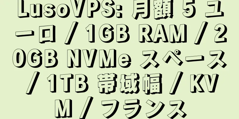 LusoVPS: 月額 5 ユーロ / 1GB RAM / 20GB NVMe スペース / 1TB 帯域幅 / KVM / フランス