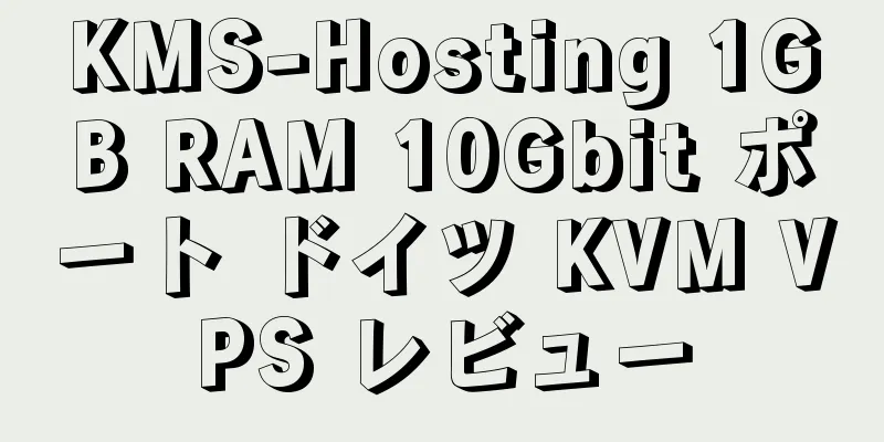 KMS-Hosting 1GB RAM 10Gbit ポート ドイツ KVM VPS レビュー