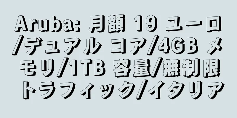 Aruba: 月額 19 ユーロ/デュアル コア/4GB メモリ/1TB 容量/無制限トラフィック/イタリア