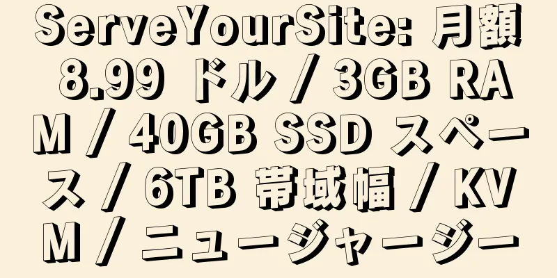 ServeYourSite: 月額 8.99 ドル / 3GB RAM / 40GB SSD スペース / 6TB 帯域幅 / KVM / ニュージャージー