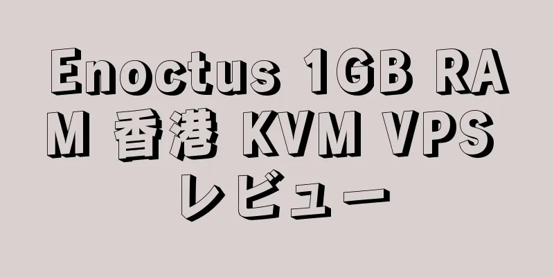 Enoctus 1GB RAM 香港 KVM VPS レビュー