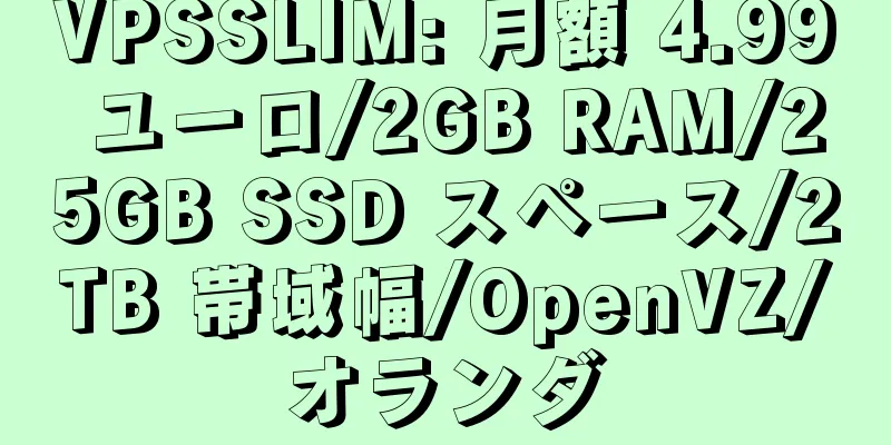 VPSSLIM: 月額 4.99 ユーロ/2GB RAM/25GB SSD スペース/2TB 帯域幅/OpenVZ/オランダ