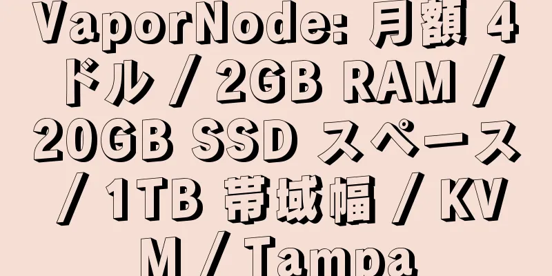 VaporNode: 月額 4 ドル / 2GB RAM / 20GB SSD スペース / 1TB 帯域幅 / KVM / Tampa