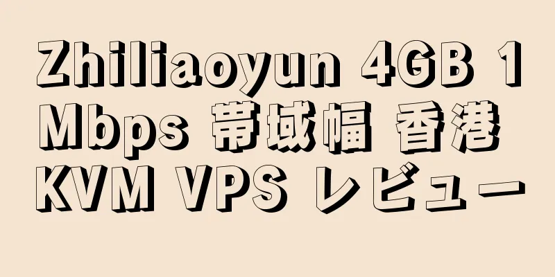 Zhiliaoyun 4GB 1Mbps 帯域幅 香港 KVM VPS レビュー