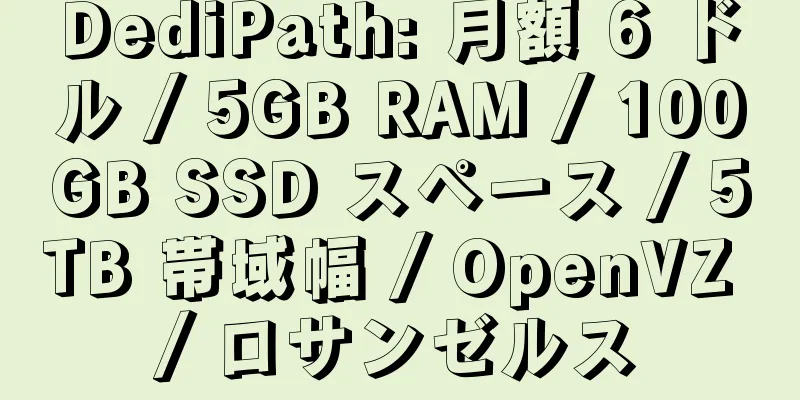 DediPath: 月額 6 ドル / 5GB RAM / 100GB SSD スペース / 5TB 帯域幅 / OpenVZ / ロサンゼルス