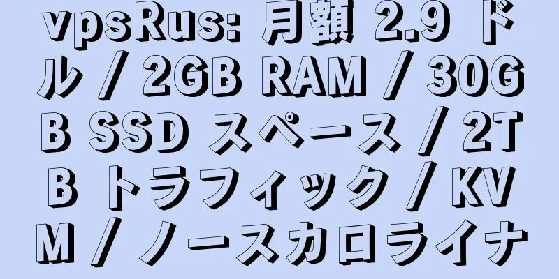 vpsRus: 月額 2.9 ドル / 2GB RAM / 30GB SSD スペース / 2TB トラフィック / KVM / ノースカロライナ