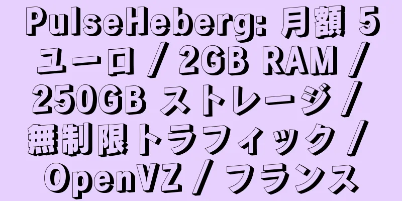 PulseHeberg: 月額 5 ユーロ / 2GB RAM / 250GB ストレージ / 無制限トラフィック / OpenVZ / フランス