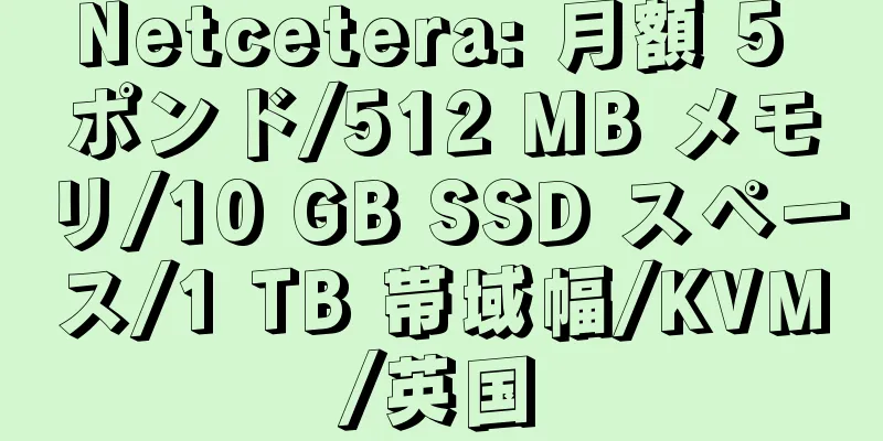 Netcetera: 月額 5 ポンド/512 MB メモリ/10 GB SSD スペース/1 TB 帯域幅/KVM/英国