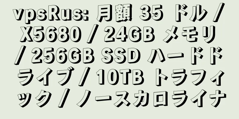 vpsRus: 月額 35 ドル / X5680 / 24GB メモリ / 256GB SSD ハードドライブ / 10TB トラフィック / ノースカロライナ