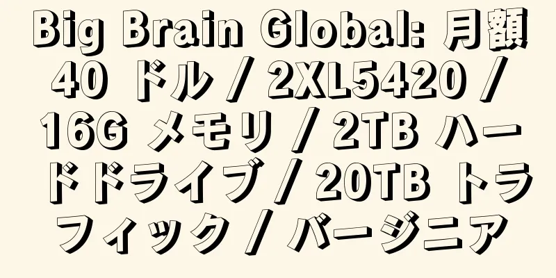 Big Brain Global: 月額 40 ドル / 2XL5420 / 16G メモリ / 2TB ハードドライブ / 20TB トラフィック / バージニア