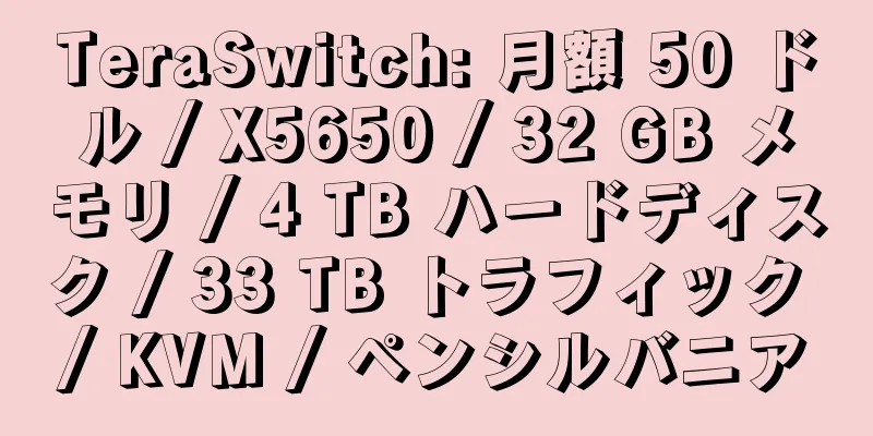 TeraSwitch: 月額 50 ドル / X5650 / 32 GB メモリ / 4 TB ハードディスク / 33 TB トラフィック / KVM / ペンシルバニア