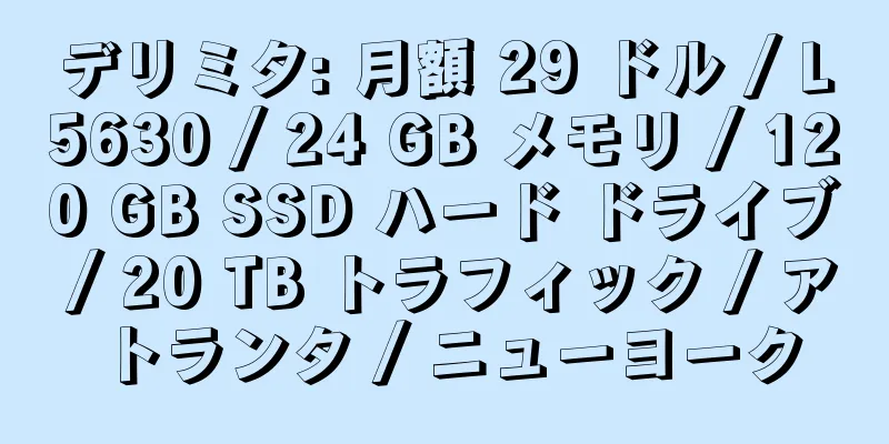 デリミタ: 月額 29 ドル / L5630 / 24 GB メモリ / 120 GB SSD ハード ドライブ / 20 TB トラフィック / アトランタ / ニューヨーク