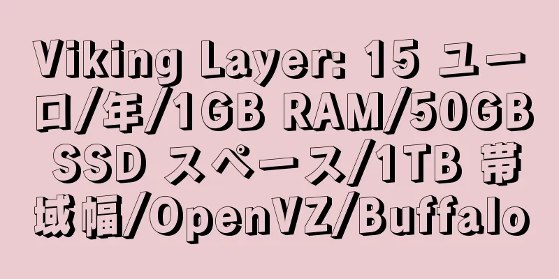 Viking Layer: 15 ユーロ/年/1GB RAM/50GB SSD スペース/1TB 帯域幅/OpenVZ/Buffalo