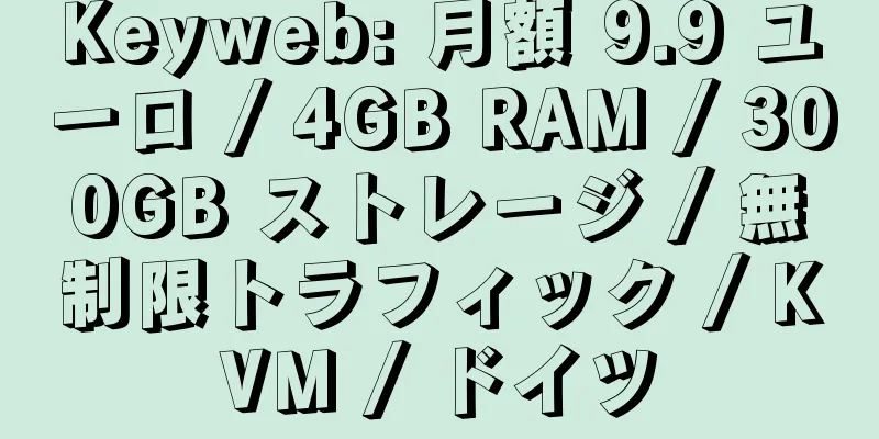 Keyweb: 月額 9.9 ユーロ / 4GB RAM / 300GB ストレージ / 無制限トラフィック / KVM / ドイツ