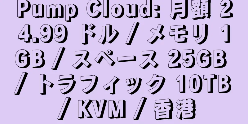 Pump Cloud: 月額 24.99 ドル / メモリ 1GB / スペース 25GB / トラフィック 10TB / KVM / 香港