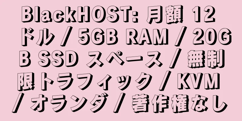 BlackHOST: 月額 12 ドル / 5GB RAM / 20GB SSD スペース / 無制限トラフィック / KVM / オランダ / 著作権なし