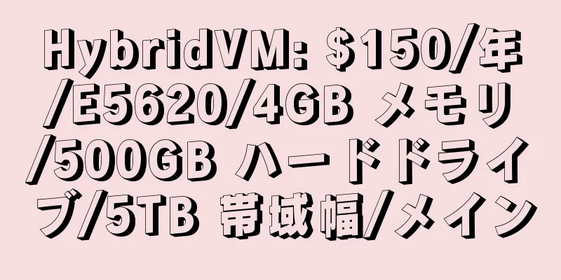 HybridVM: $150/年/E5620/4GB メモリ/500GB ハードドライブ/5TB 帯域幅/メイン