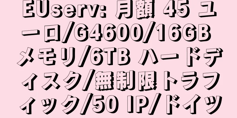 EUserv: 月額 45 ユーロ/G4600/16GB メモリ/6TB ハードディスク/無制限トラフィック/50 IP/ドイツ