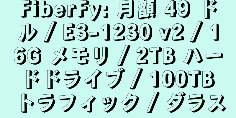 FiberFy: 月額 49 ドル / E3-1230 v2 / 16G メモリ / 2TB ハードドライブ / 100TB トラフィック / ダラス