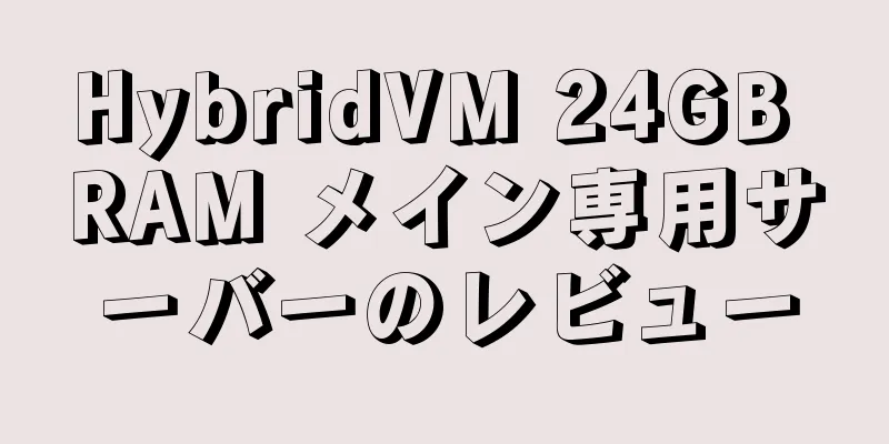 HybridVM 24GB RAM メイン専用サーバーのレビュー