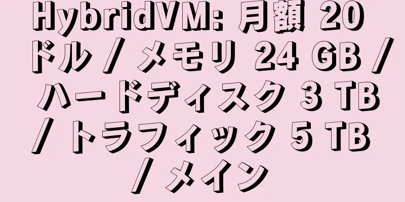 HybridVM: 月額 20 ドル / メモリ 24 GB / ハードディスク 3 TB / トラフィック 5 TB / メイン