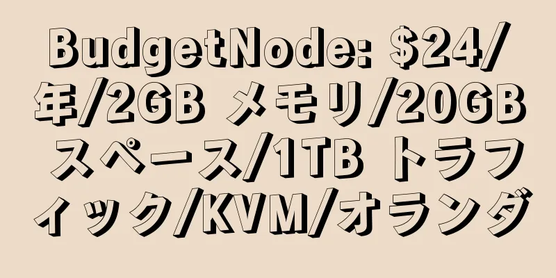 BudgetNode: $24/年/2GB メモリ/20GB スペース/1TB トラフィック/KVM/オランダ