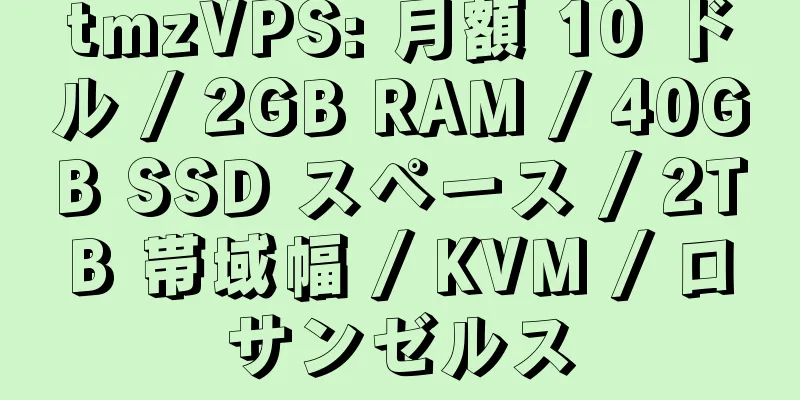 tmzVPS: 月額 10 ドル / 2GB RAM / 40GB SSD スペース / 2TB 帯域幅 / KVM / ロサンゼルス