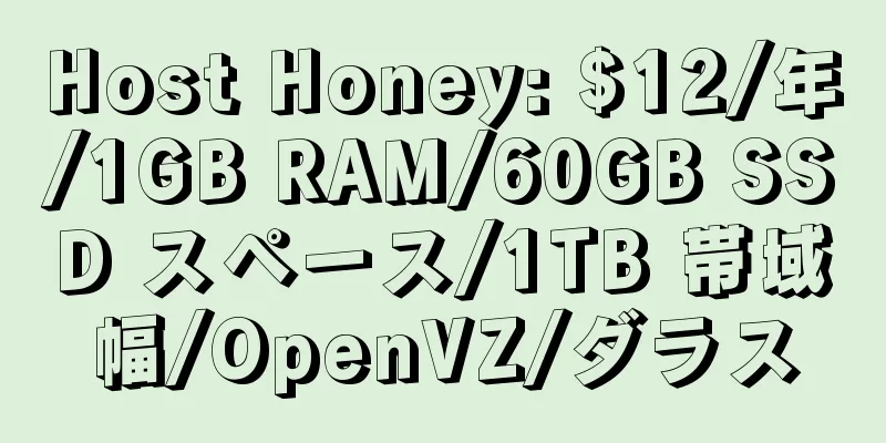 Host Honey: $12/年/1GB RAM/60GB SSD スペース/1TB 帯域幅/OpenVZ/ダラス