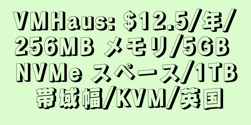 VMHaus: $12.5/年/256MB メモリ/5GB NVMe スペース/1TB 帯域幅/KVM/英国