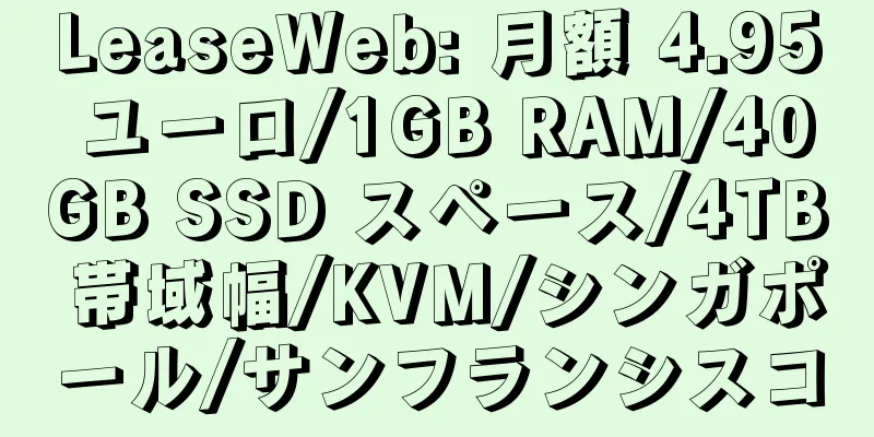 LeaseWeb: 月額 4.95 ユーロ/1GB RAM/40GB SSD スペース/4TB 帯域幅/KVM/シンガポール/サンフランシスコ