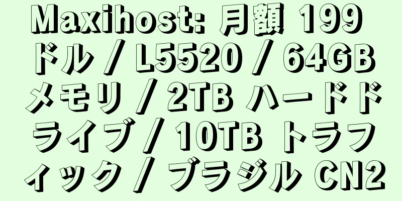 Maxihost: 月額 199 ドル / L5520 / 64GB メモリ / 2TB ハードドライブ / 10TB トラフィック / ブラジル CN2