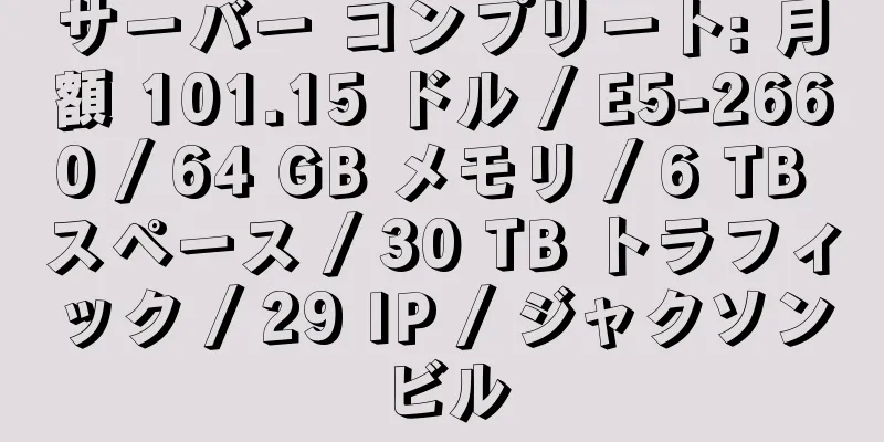 サーバー コンプリート: 月額 101.15 ドル / E5-2660 / 64 GB メモリ / 6 TB スペース / 30 TB トラフィック / 29 IP / ジャクソンビル