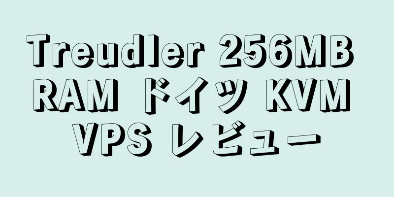 Treudler 256MB RAM ドイツ KVM VPS レビュー