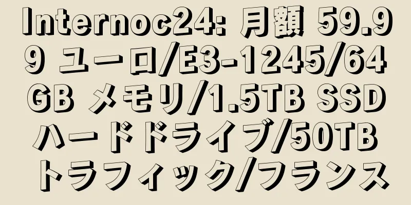 Internoc24: 月額 59.99 ユーロ/E3-1245/64GB メモリ/1.5TB SSD ハードドライブ/50TB トラフィック/フランス
