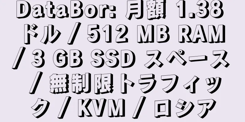 DataBor: 月額 1.38 ドル / 512 MB RAM / 3 GB SSD スペース / 無制限トラフィック / KVM / ロシア