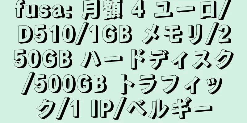 fusa: 月額 4 ユーロ/D510/1GB メモリ/250GB ハードディスク/500GB トラフィック/1 IP/ベルギー