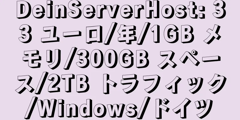 DeinServerHost: 33 ユーロ/年/1GB メモリ/300GB スペース/2TB トラフィック/Windows/ドイツ