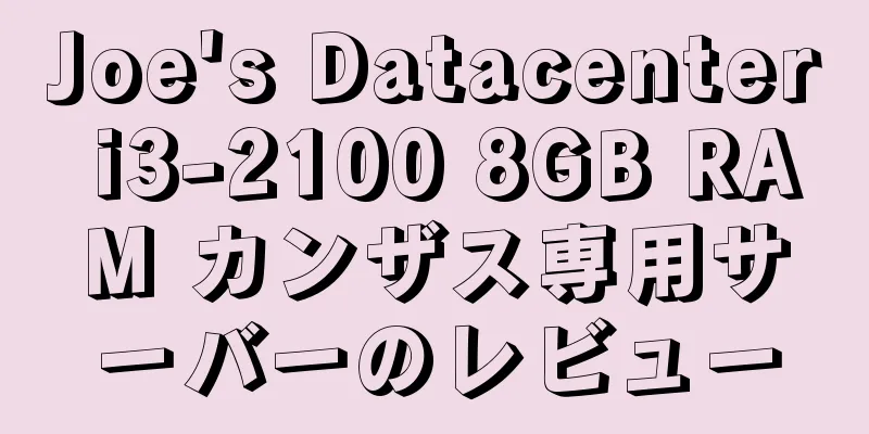 Joe's Datacenter i3-2100 8GB RAM カンザス専用サーバーのレビュー