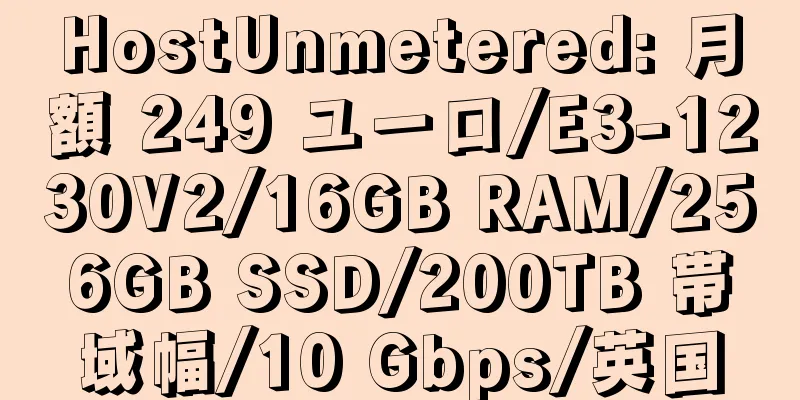 HostUnmetered: 月額 249 ユーロ/E3-1230V2/16GB RAM/256GB SSD/200TB 帯域幅/10 Gbps/英国